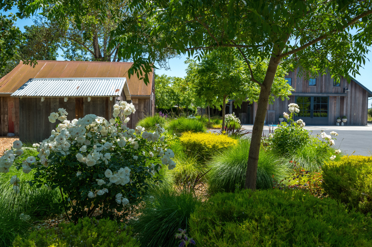 The Croix Estate Winery - Fulton, CA - Cagwin & Dorward -Commercial Landscaping, Landscape Maintenance