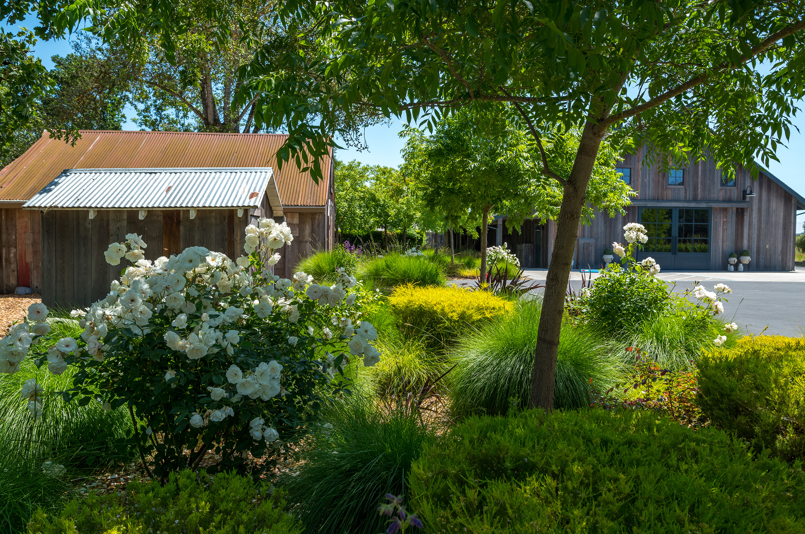 Landscape Construction - Crystal Greens Landscape Portland Area