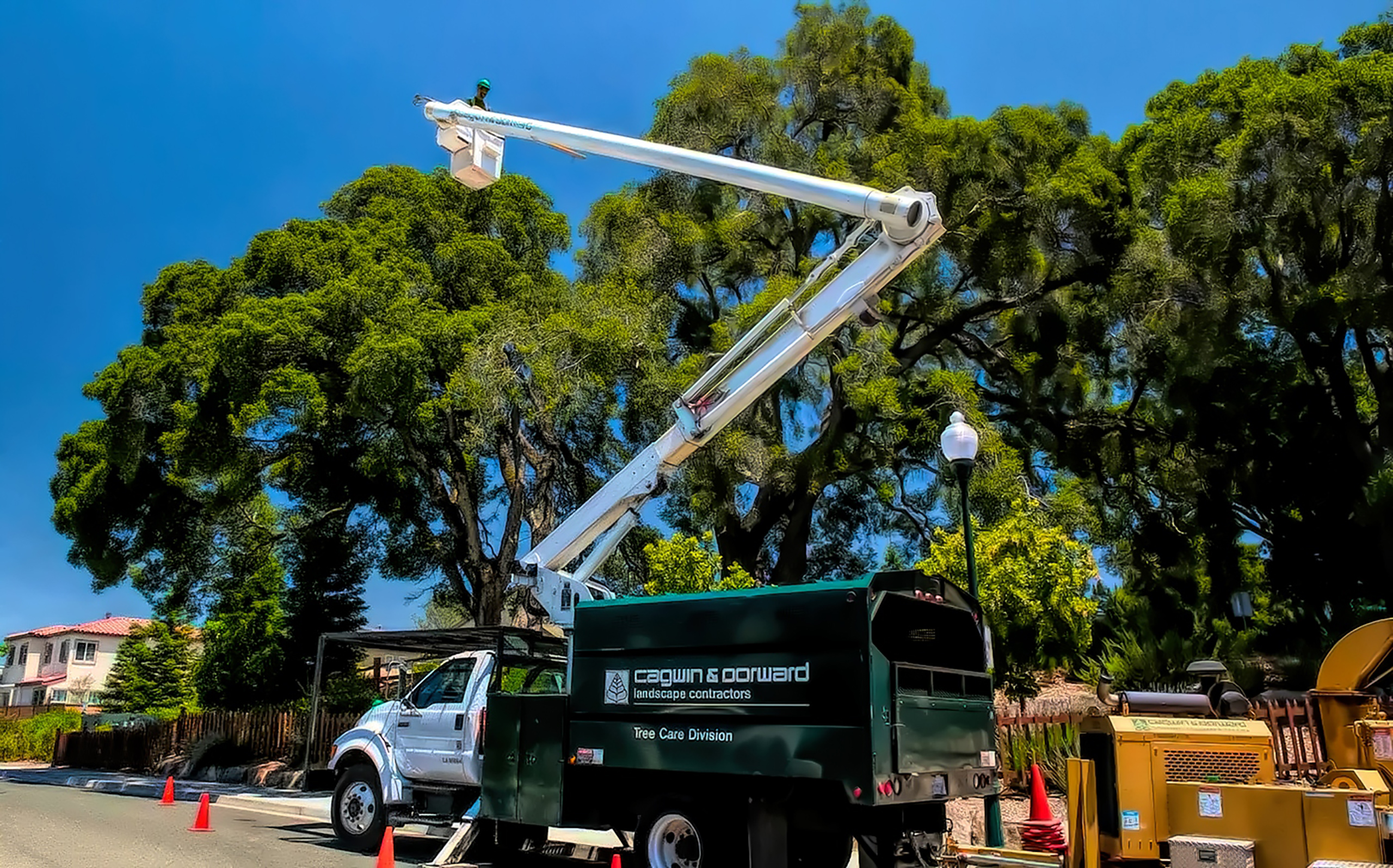 A Comprehensive Guide to Commercial Tree Care 1 Tree Trimming_Cagwin_and_Dorward_Sperber_Companies