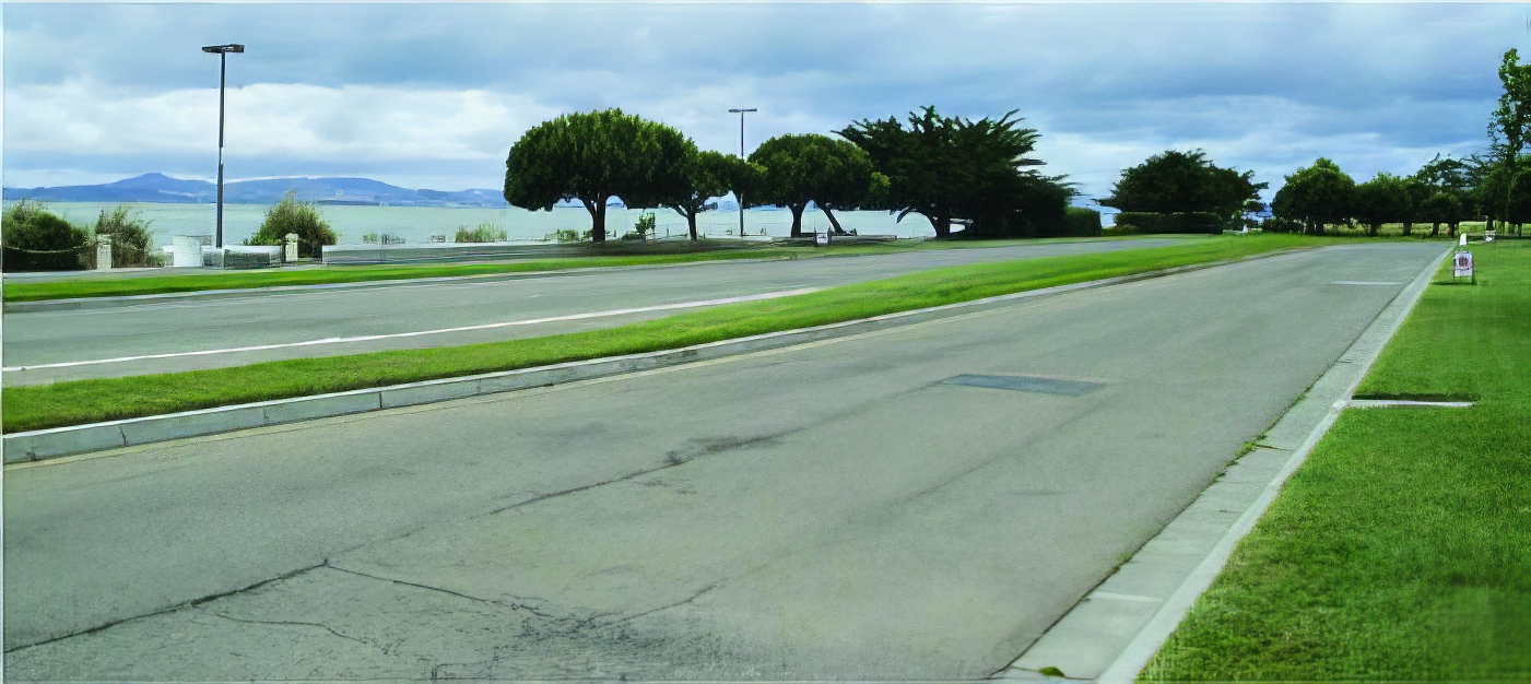 How Harbor Bay Parkway Transformed Its Median Landscape Reducing Water Usage by 69% 1 Tree Trimming_Cagwin_and_Dorward_Sperber_Companies